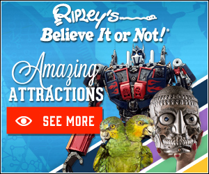 CJ: Ripleys